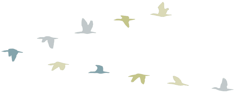 a flock of birds flying across a gray sky.