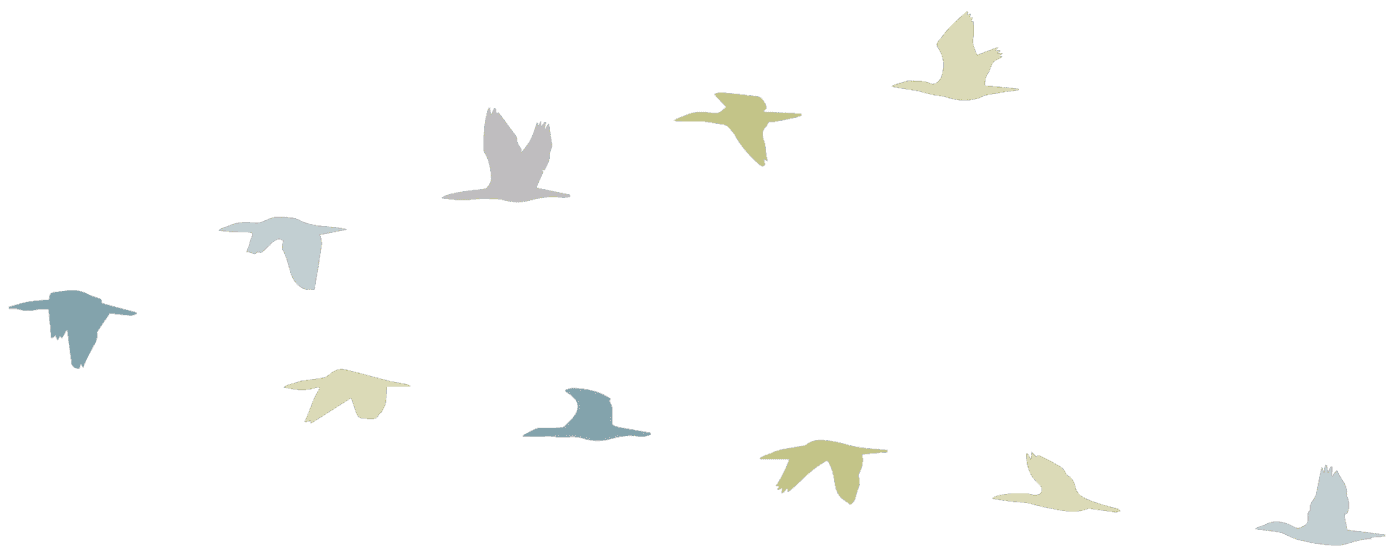 Illustration of birds flying in a V formation to represent leadership and team