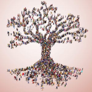 Large tree formed out of people seen from above standing on pink background