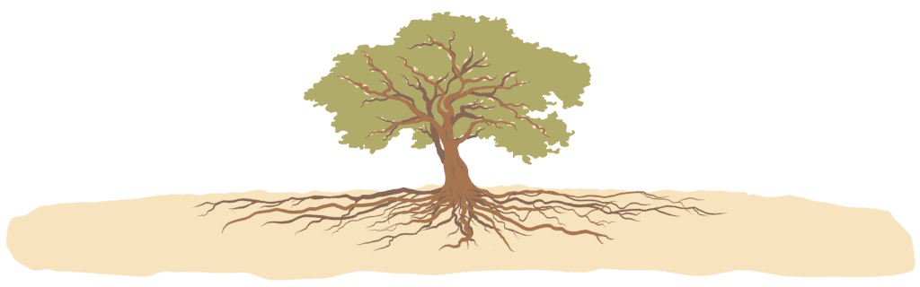 a tree with roots on a green background.