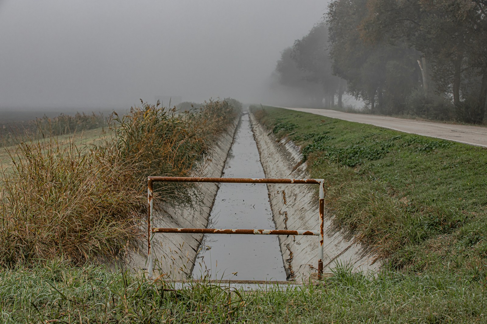 Navigating the Leadership Ditch with Brad Farris 1 a flooded road with a gate in the middle of it